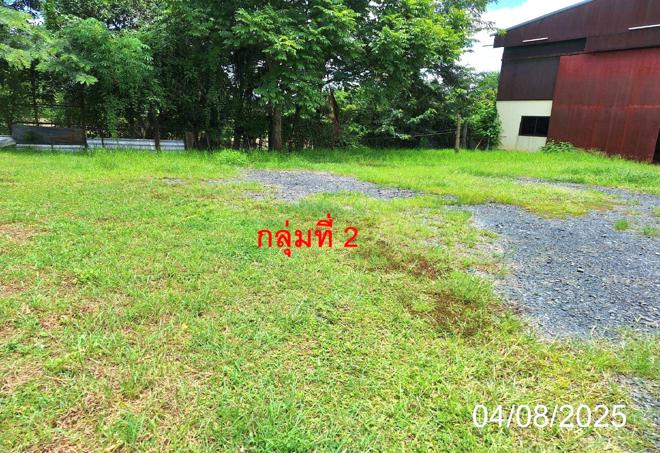 picture HOME 1387.8 Sq.w. Muang Lamphun Lamphun for 6.9M - 30/65