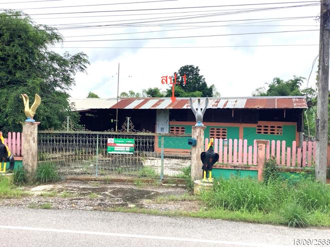 รูป บ้านเดี่ยว 540 ตร.วา ทรายทองวัฒนา กำแพงเพชร 2M - รูปที่ 4/41