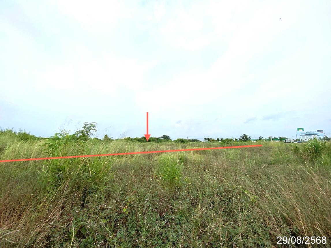 picture LAND 1016.8 Sq.w. Ban Bung Chonburi for 13.6M - 11/17