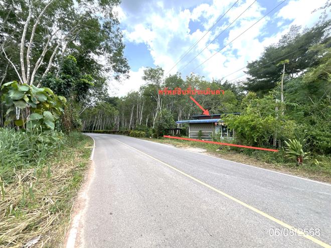 รูป บ้านเดี่ยว 110 ตร.วา พุนพิน สุราษฎร์ธานี 1.8M - รูปที่ 9/21