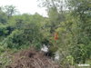 listing thumbnail image 27