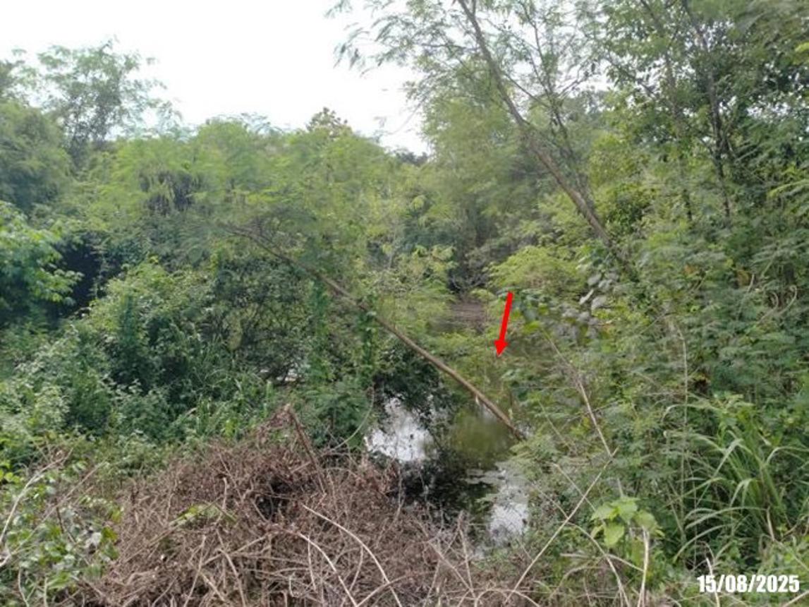 รูป โกดัง 58339 ตร.วา วังสะพุง เลย 50.1M - รูปที่ 28/35