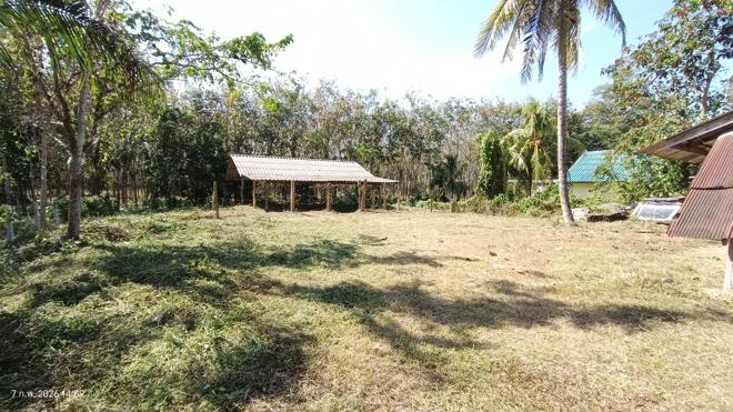 รูป บ้านเดี่ยว 257.5 ตร.วา คลองหอยโข่ง สงขลา 3.7M - รูปที่ 16/39
