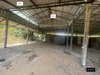 listing thumbnail image 25