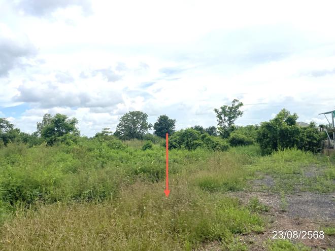 รูป ที่ดินว่างเปล่า 3368 ตร.วา ชนแดน เพชรบูรณ์ 5.1M - รูปที่ 8/25