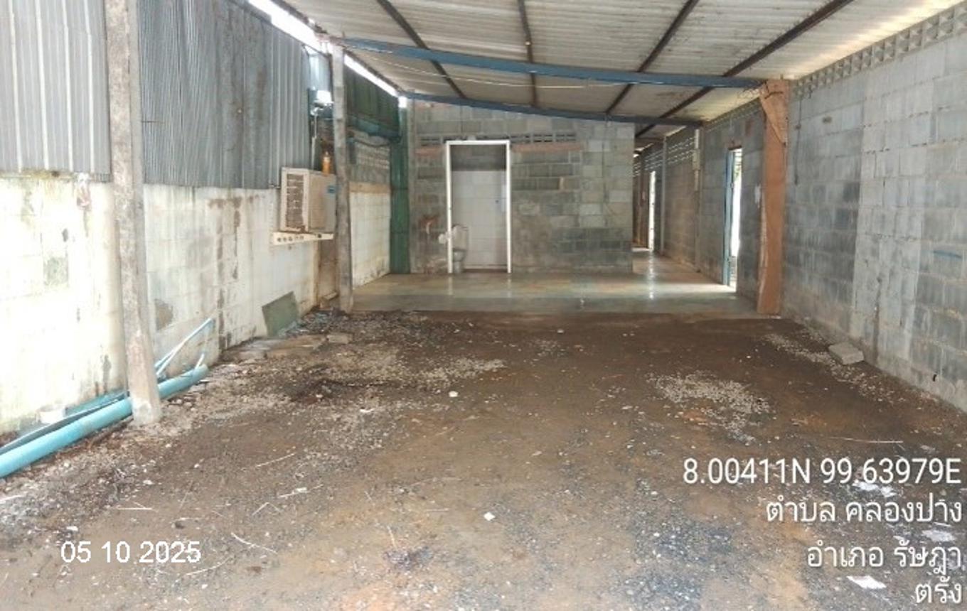 picture FACTORY 66.7 Sq.w. Rasada Trang for 2.1M - 10/15