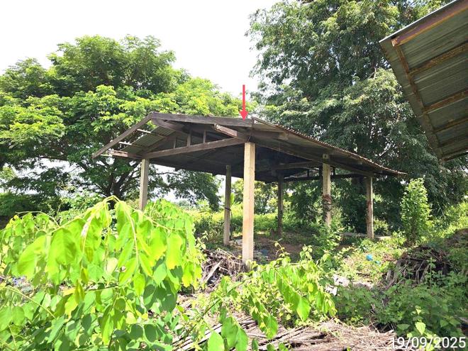 รูป บ้านเดี่ยว 2774.6 ตร.วา พรหมพิราม พิษณุโลก 2.6M - รูปที่ 18/49