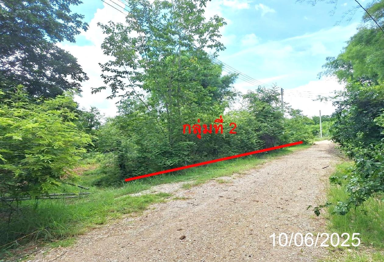 picture LAND 746 Sq.w. Mae Tha Lamphang for 656,000 - 15/21