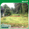 listing thumbnail image 16