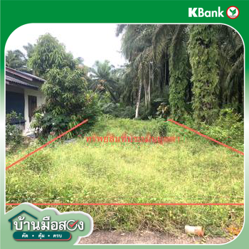 รูป ที่ดินว่างเปล่า 67 ตร.วา ไชยา สุราษฎร์ธานี 273,000 - รูปที่ 17/19
