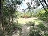 listing thumbnail image 25