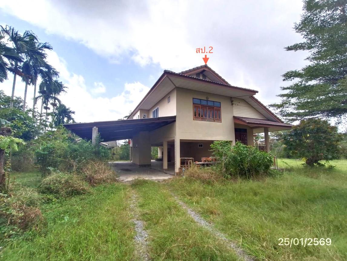 รูป บ้านเดี่ยว 2793 ตร.วา ระโนด สงขลา 4.2M - รูปที่ 30/45