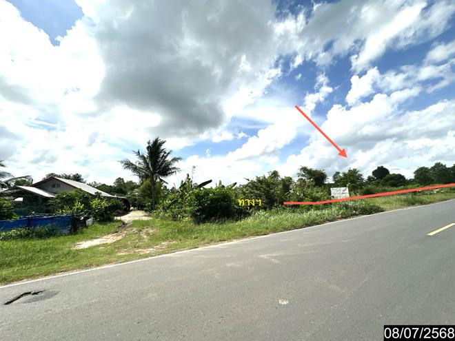 รูป ที่ดินว่างเปล่า 5451.5 ตร.วา นาจะหลวย อุบลราชธานี 8.7M - รูปที่ 11/25