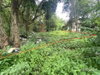 listing thumbnail image 17