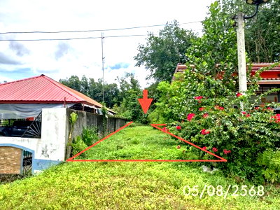 Land for sale Thung Yai Nakhon Sri Thammarat : LAND 135 Sq.w. Thung Yai Nakhon Sri Thammarat for 717,000