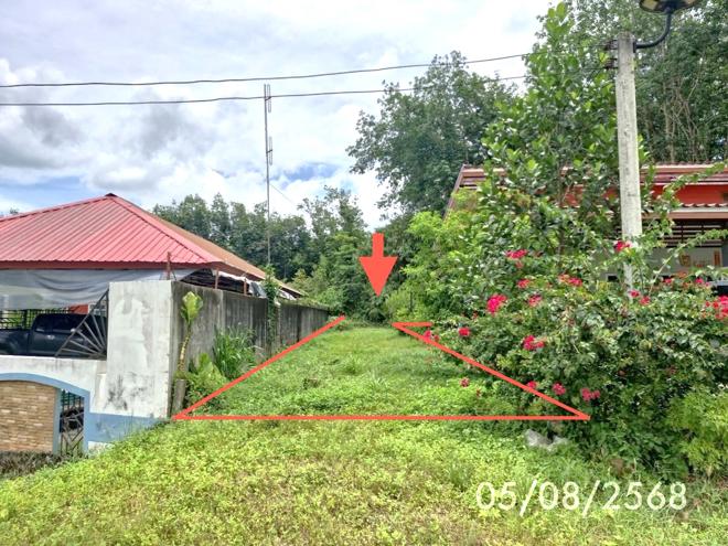picture LAND 135 Sq.w. Thung Yai Nakhon Sri Thammarat for 717,000 - 1/15