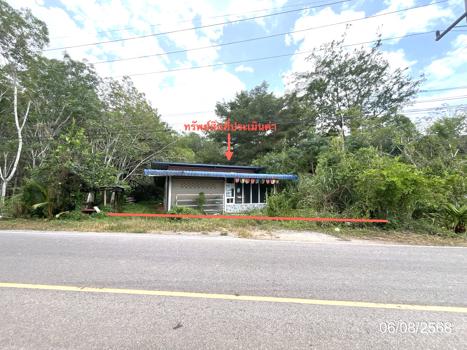 รูป บ้านเดี่ยว 110 ตร.วา พุนพิน สุราษฎร์ธานี 1.8M - รูปที่ 18/21