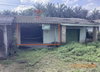 listing thumbnail image 17
