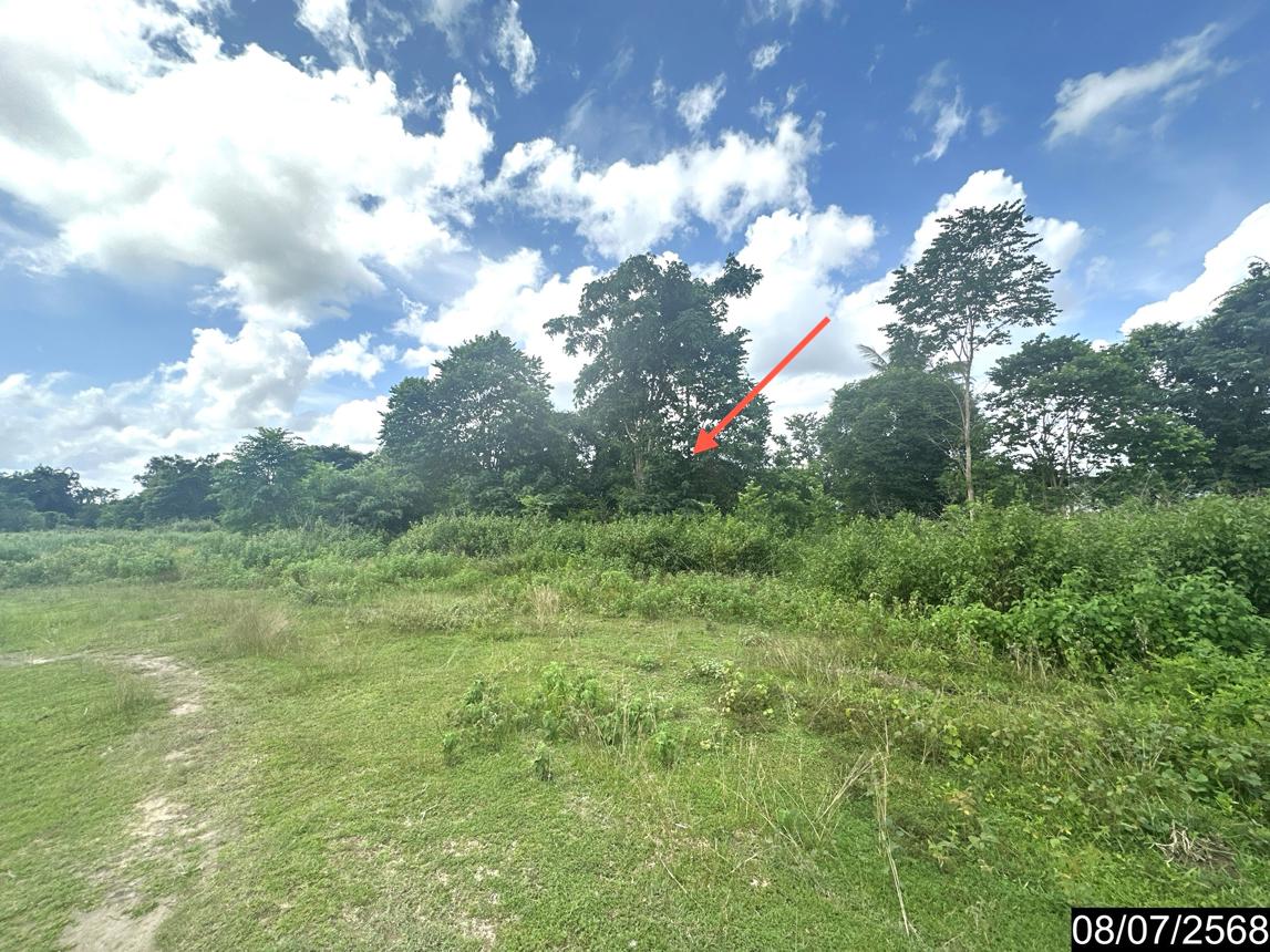 รูป ที่ดินว่างเปล่า 5451.5 ตร.วา นาจะหลวย อุบลราชธานี 8.7M - รูปที่ 18/25