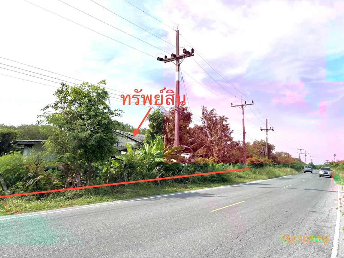 รูป บ้านเดี่ยว 4945 ตร.วา กาญจนดิษฐ์ สุราษฎร์ธานี 2.3M - รูปที่ 29/33