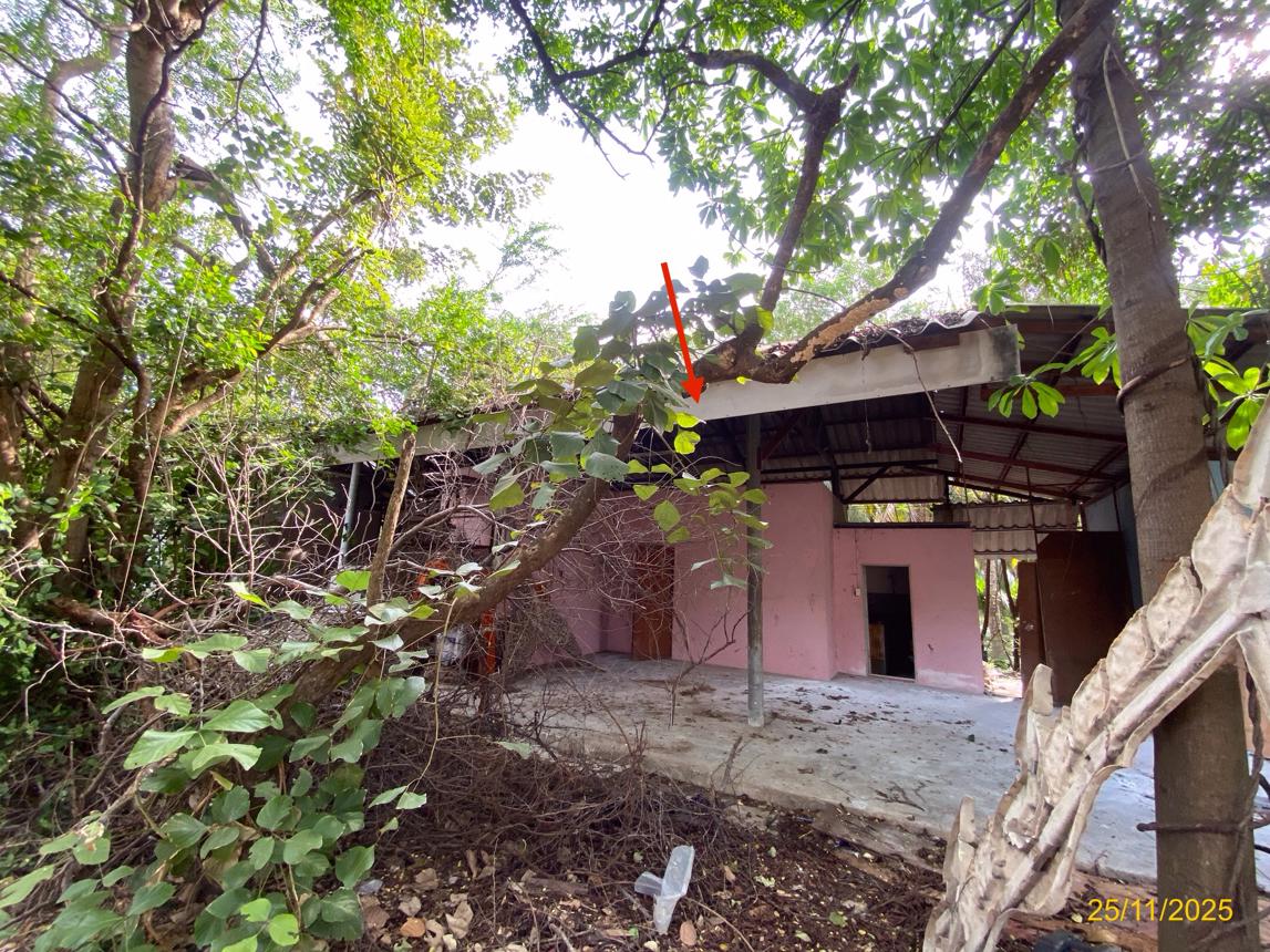 รูป บ้านเดี่ยว 2000 ตร.วา นครชัยศรี นครปฐม 20.5M - รูปที่ 39/49