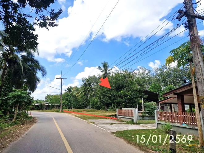 picture FACTORY 179 Sq.w. Huai Yot Trang for 962,000 - 8/19