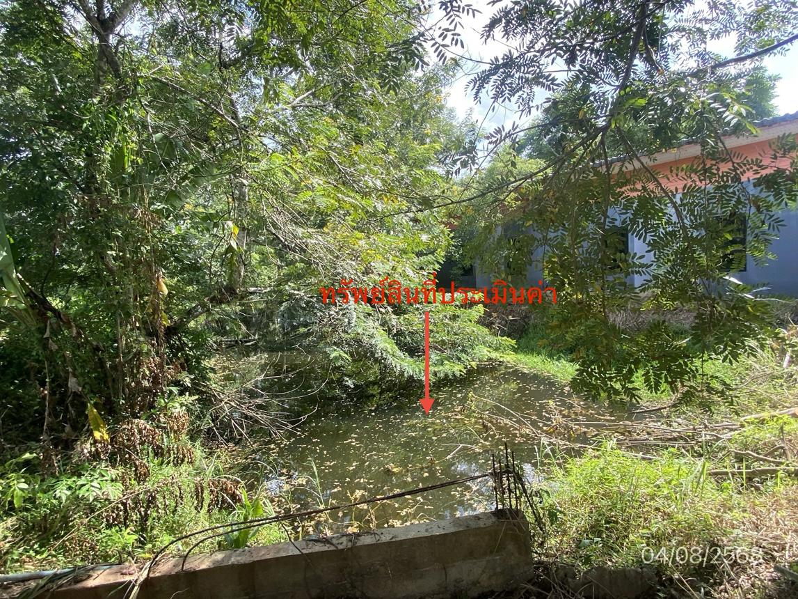 picture HOME 1157.7 Sq.w. Thung Yai Nakhon Sri Thammarat for 4.1M - 32/37