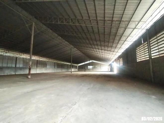 รูป อาคารโรงงาน 45163 ตร.วา ท่าลี่ เลย 150.1M - รูปที่ 21/57