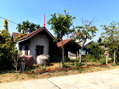บ้านเดี่ยว สุรินทร์ : บ้านเดี่ยว 167 ตร.วา ปราสาท สุรินทร์ 514,000