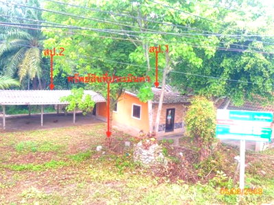 บ้านเดี่ยว สุราษฎร์ธานี : บ้านเดี่ยว 224.4 ตร.วา เวียงสระ สุราษฎร์ธานี 657,000