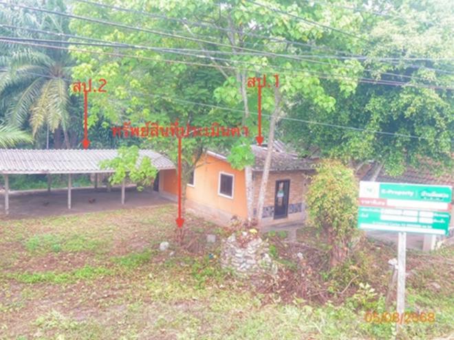 รูป บ้านเดี่ยว 224.4 ตร.วา เวียงสระ สุราษฎร์ธานี 657,000 - รูปที่ 1/33