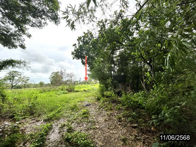 รูป ที่ดินว่างเปล่า 3793 ตร.วา วารินชำราบ อุบลราชธานี 2.2M - รูปที่ 6/25