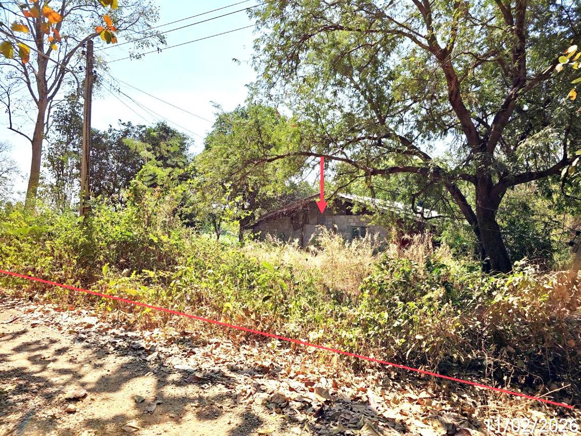 รูป บ้านเดี่ยว 200 ตร.วา เมืองเพชรบูรณ์ เพชรบูรณ์ 215,000 - รูปที่ 25/29