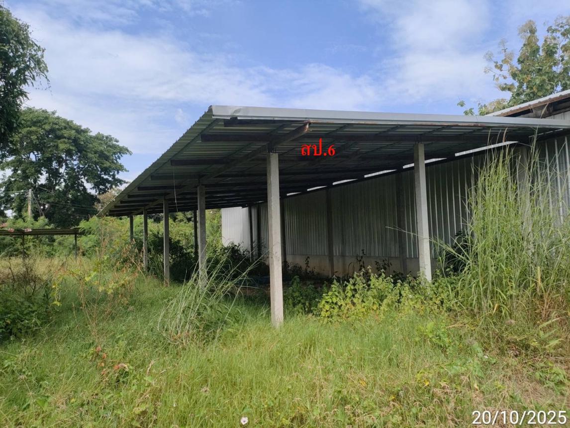 picture FACTORY 12659 Sq.w. Phayakkhaphum Phisai Maha Sarakham for 5.4M - 28/37