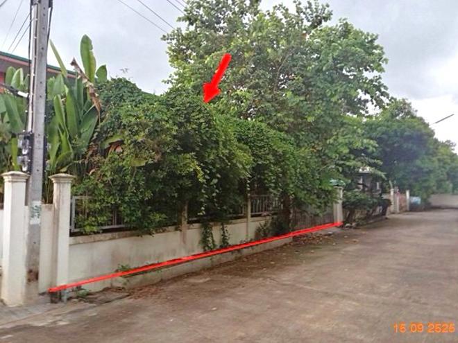 รูป บ้านเดี่ยว 62 ตร.วา บ้านยางโมเดิร์น เมืองบุรีรัมย์ บุรีรัมย์ 1.8M - รูปที่ 2/11