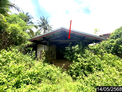 ขายบ้านเดี่ยว : บ้านเดี่ยว 135 ตร.วา โพนพิสัย หนองคาย 928,000