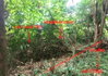listing thumbnail image 11