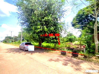 Factory for sale Na Klang Nong Bua Lam Phu : FACTORY 2059 Sq.w. Na Klang Nong Bua Lam Phu for 10.3M