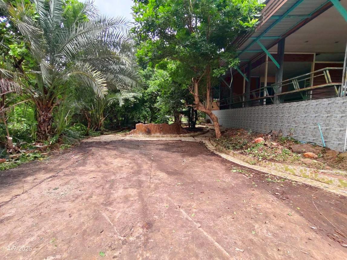 picture HOME 568.3 Sq.w. Muang Khon Kaen Khon Kaen for 4.7M - 49/55