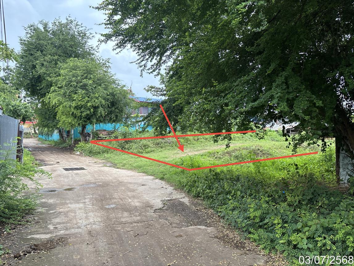picture LAND 81 Sq.w. Khok Samrong Lopburi for 300,000 - 12/19