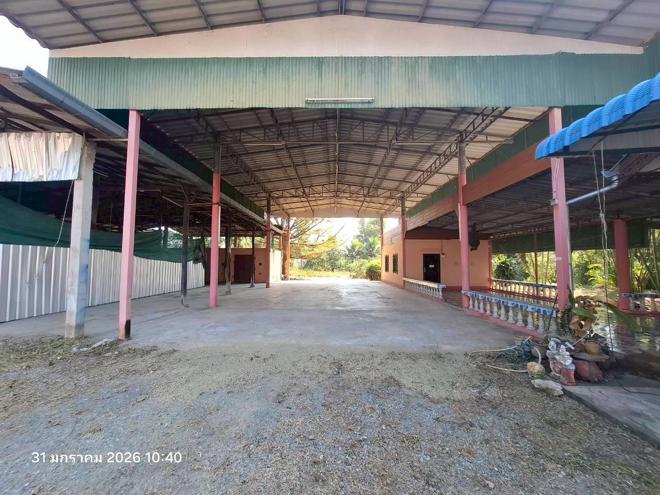 รูป บ้านเดี่ยว 1014 ตร.วา ดอยหล่อ เชียงใหม่ 3.6M - รูปที่ 4/31
