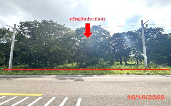picture LAND 379.5 Sq.w. Muang Surat Thani Surat Thani for 1.7M - 18/21