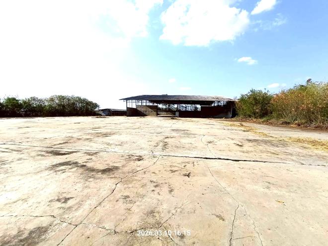 picture OFFICE 9873.7 Sq.w. Phatthana Nikhom Lopburi for 21.7M - 25/53