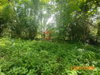 listing thumbnail image 36