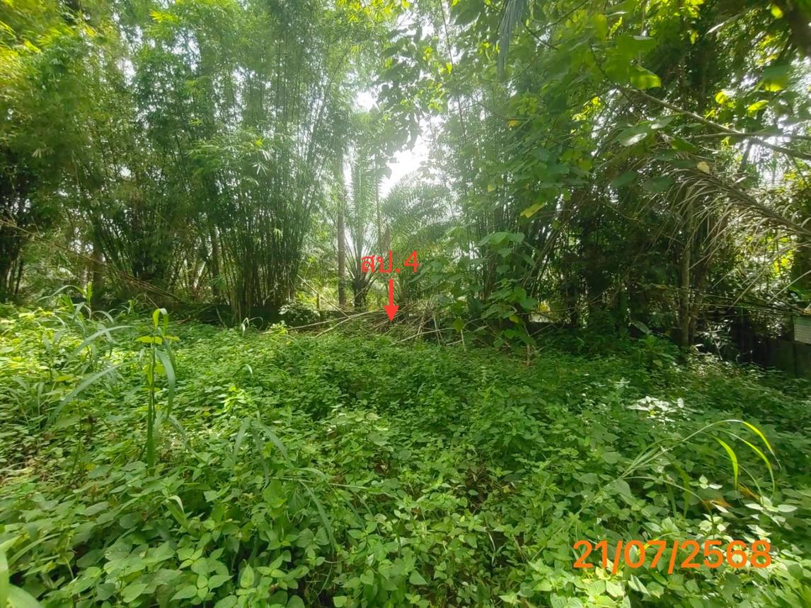 picture HOME 4455.3 Sq.w. Takua Thung Phangnga for 3.8M - 37/43