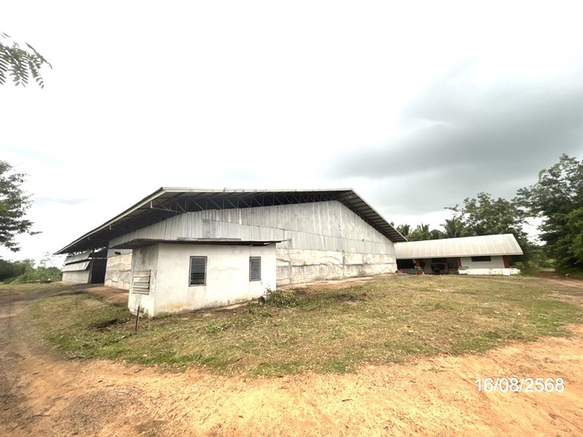 รูป อาคารโรงงาน 2362 ตร.วา เฉลิมพระเกียรติ นครราชสีมา 9.7M - รูปที่ 20/41