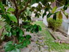 listing thumbnail image 22