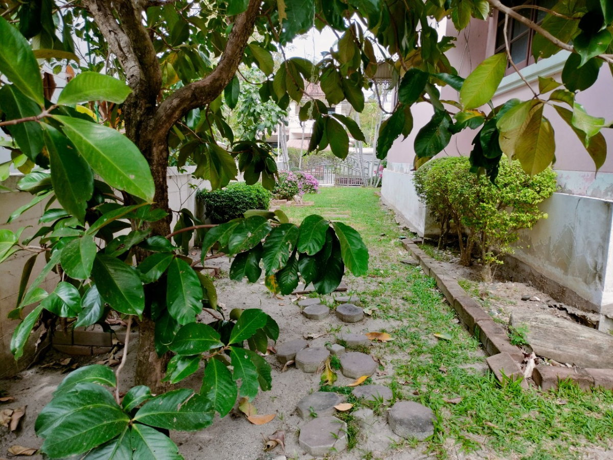 รูป 🤩ถูกกกกมากก📌บ้านเดี่ยว 88 ตร.ว. ชวนชื่น บางนา บางบ่อ สมุทรปราการ พร้อมอยู่ 🤩🔥แถมฟรี พื้นที่ด้านข้าง 11 ตรว.(มีฉโนด) - รูปที่ 23/26