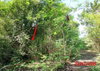 listing thumbnail image 7