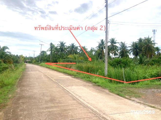 รูป ที่ดินว่างเปล่า 1945.7 ตร.วา เมืองสุราษฎร์ธานี สุราษฎร์ธานี 5.2M - รูปที่ 8/25